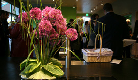 flowers in PlayGarden accessible kitchen