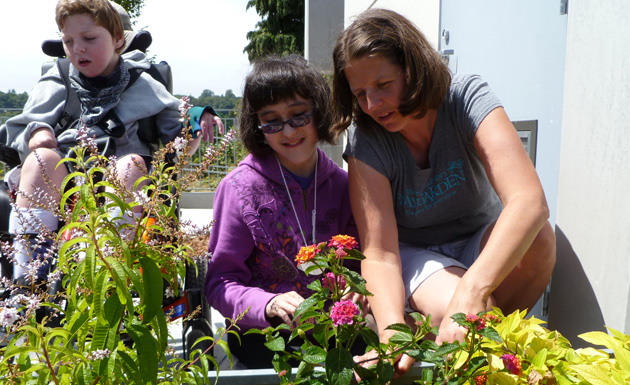 planting new flowers